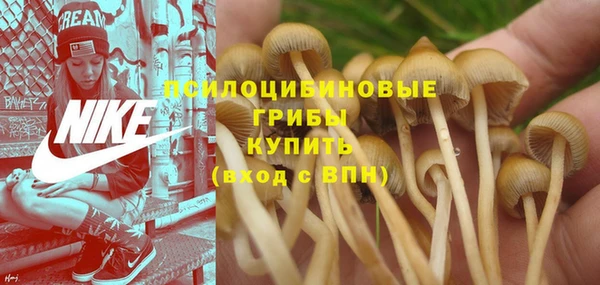 амфетамин Абинск