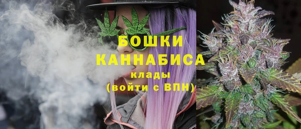 дмт Ладушкин