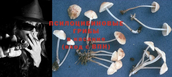 дмт Ладушкин