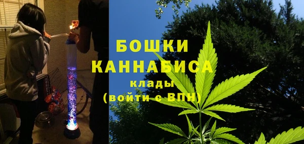 дмт Ладушкин