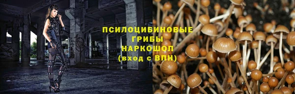 дмт Ладушкин